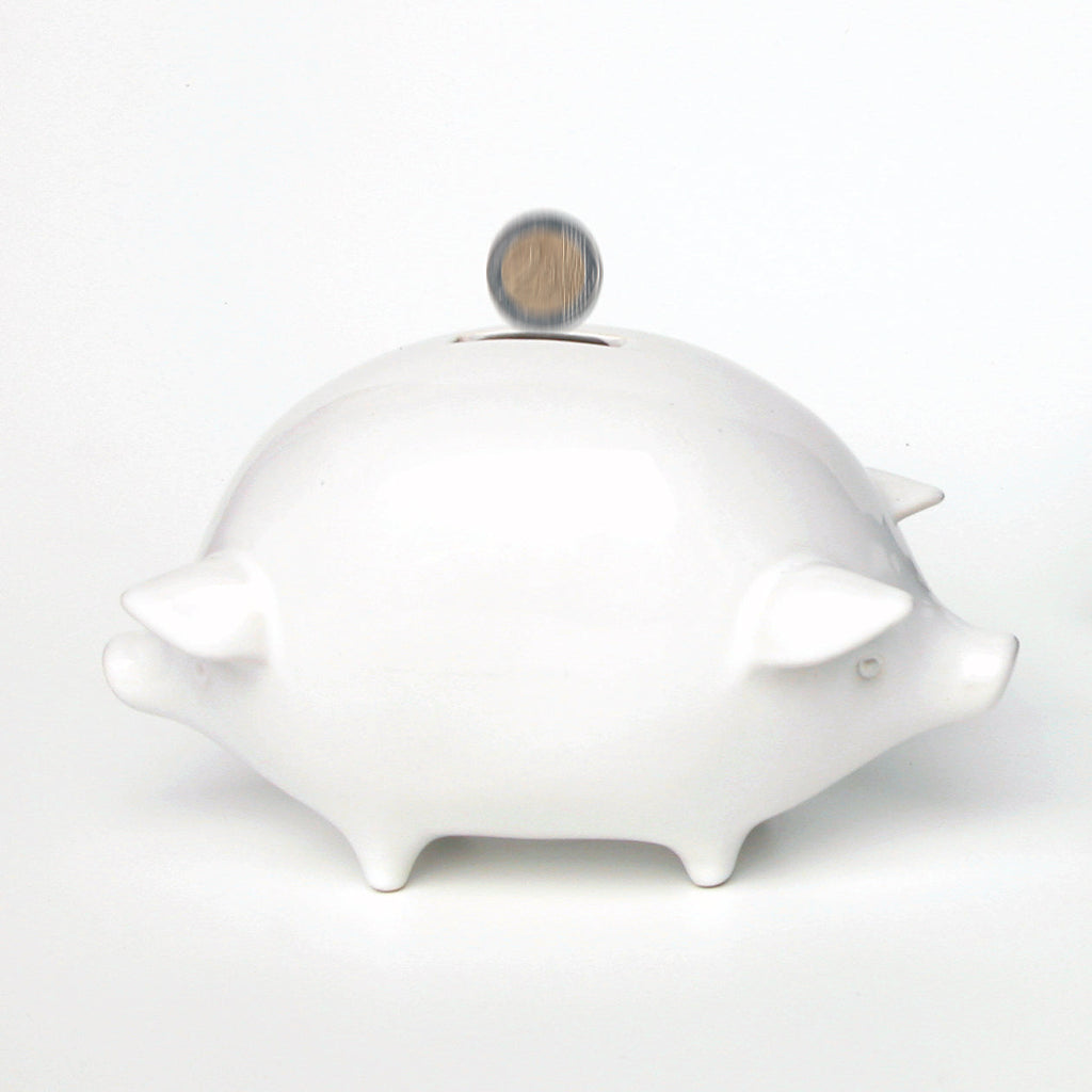 "double" piggy bank / II choice